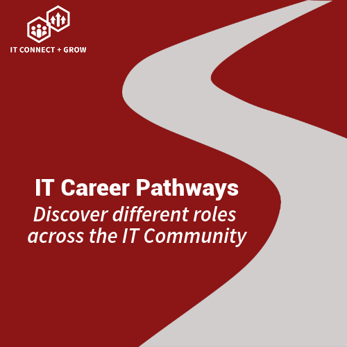 Graphic for IT Career Pathways: Explore Roles in Data & Analytics