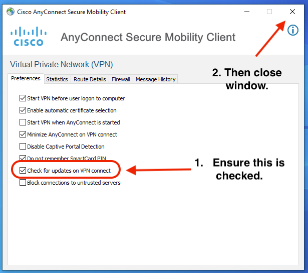 shows checkbox for "Check for updates on VPN connect"