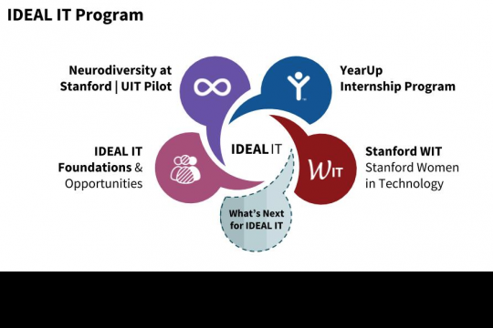 IDEAL IT Program Logo