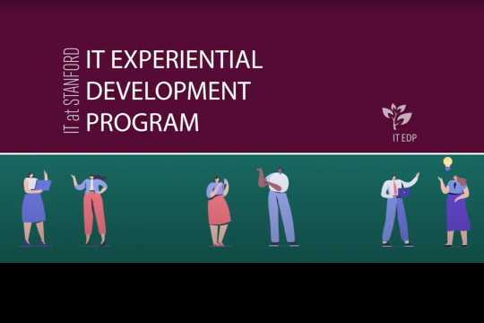 Grow Your Career With IT EDP