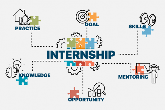 internship: goal, skills, mentoring, opportunity, knowledge, practice