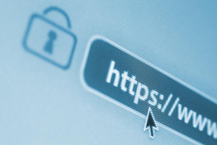 Secure web address bar